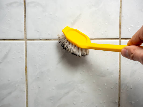 Best Attic Mold Removal  in Browntown, PA