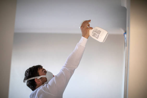 Best Mold Cleaning Services  in Browntown, PA