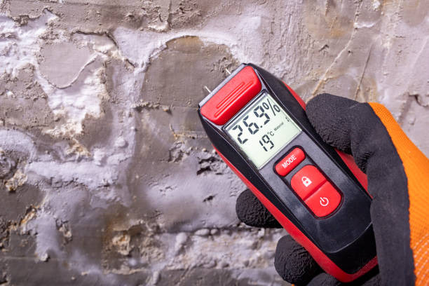 Best Mold Testing  in Browntown, PA