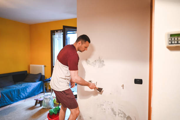 Best Water Damage Restoration  in Browntown, PA